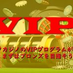 ステークカジノのVIPプログラムが激アツ!まずはブロンズを目指そう